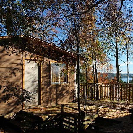 Cabanas Mas Ke Miel Población Población Lago Ranco Kültér fotó