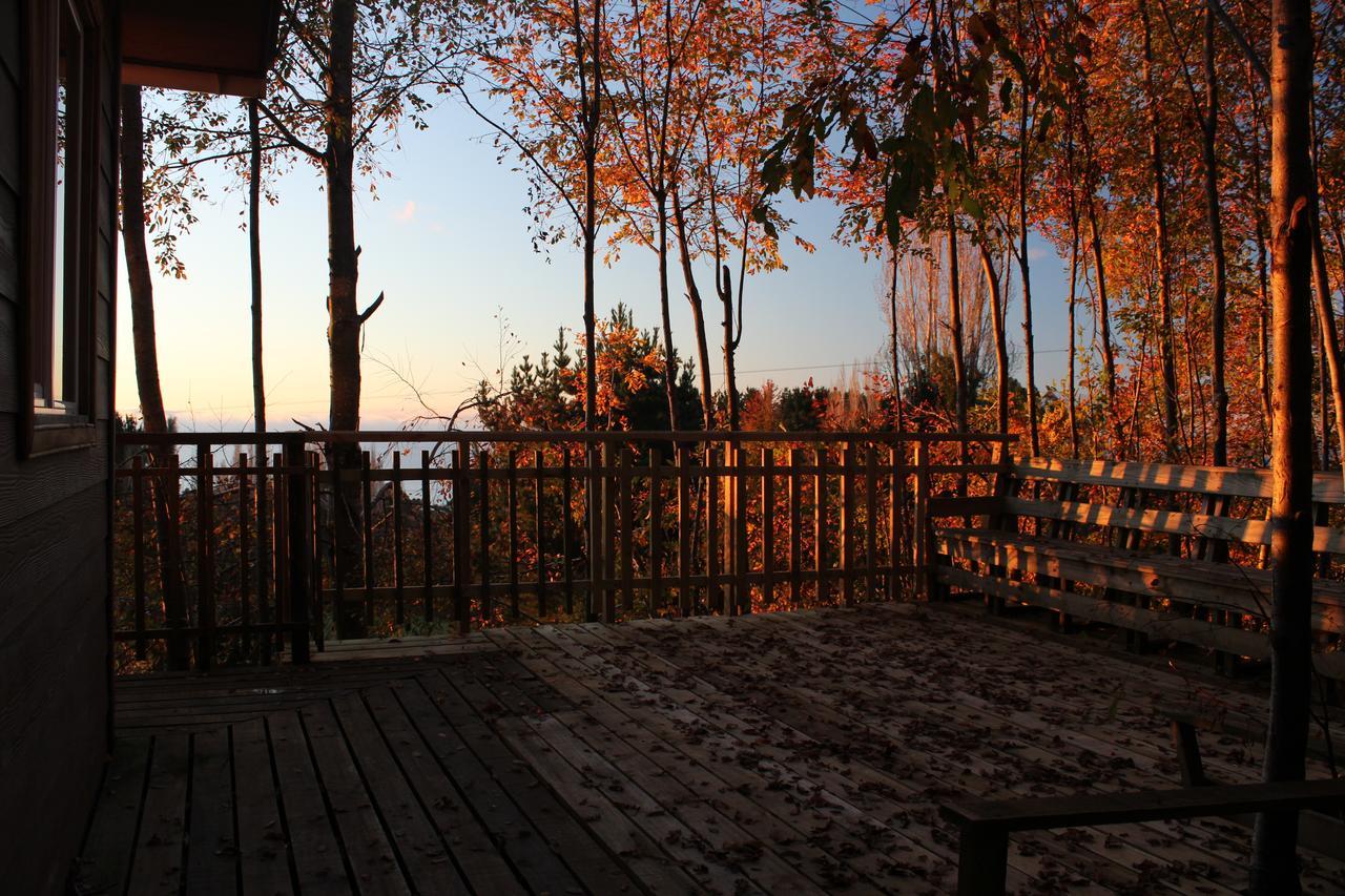 Cabanas Mas Ke Miel Población Población Lago Ranco Kültér fotó